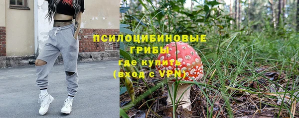 каннабис Алексеевка