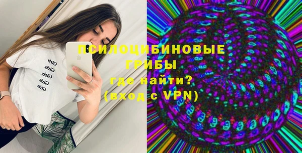 амф Алексин